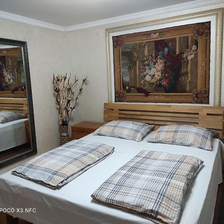 זניקה Apartmani Brod מראה חיצוני תמונה